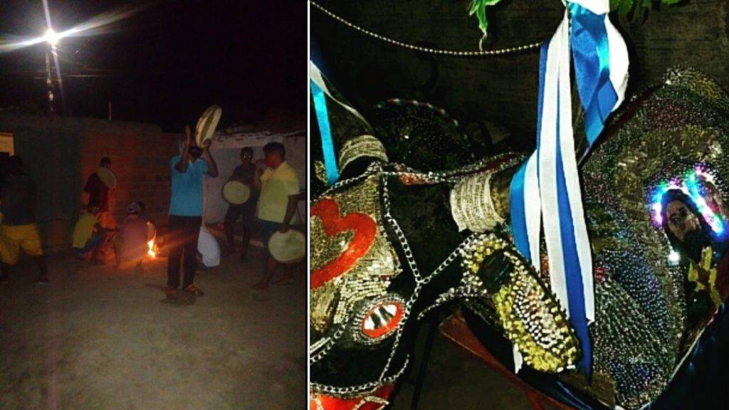 Há duas fotos: a primeira foi tirada à noite e mostra um homem de camisa azul tocando um pandeiro acima da cabeça, há uma pequena fogueira ao fundo; a segunda foto mostra um boi de bumba meu boi com muito dourado, um coração vermelho desenhado na testa e com fitas da cor branca e azul enfeitando os chifres.