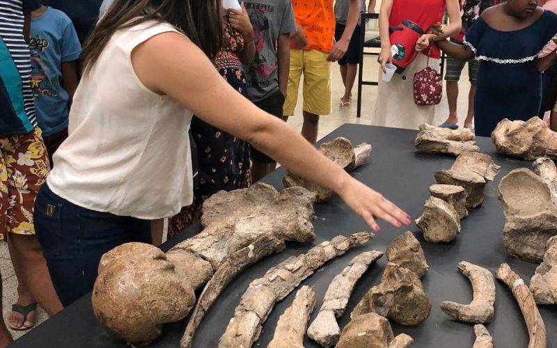 Conheça o Museu de Arqueologia e Paleontologia (MAP) Museus Pelo Piauí Geleia Total