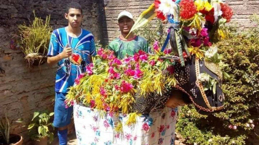 Um boi de Bumba meu boi todo enfeitado com flores cor de rosa. Há uma pessoa dentro do boneco do boi e há dois rapazes atrás posando para a foto. Essa foto é do Touro da Ilha um dos grupos de Bumba meu boi de Teresina.