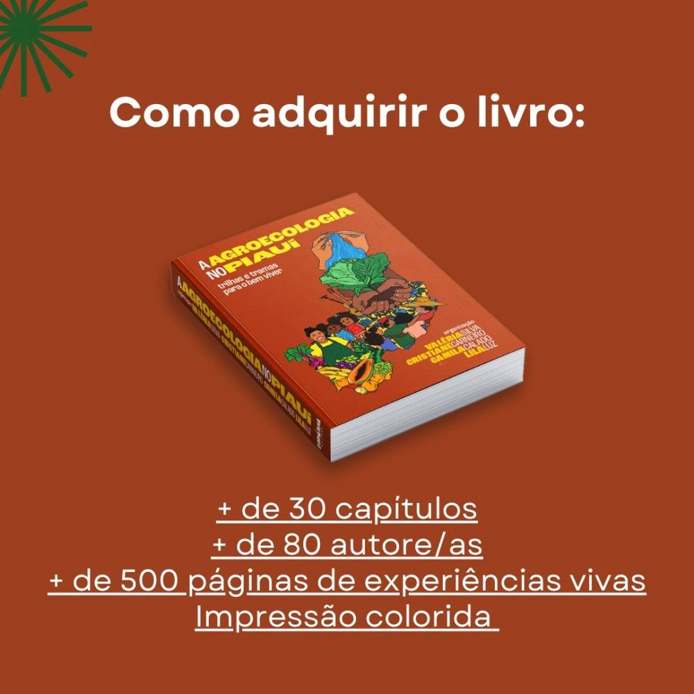 Livro A agroecologia no Piauí em um fundo laranja. Logo embaixo do livro está escrito + de 30 capítulos, + de 80 autoras e autores, + de 500 páginas de experiências vivas, impressão colorida.