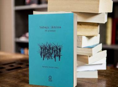Foto do livro Babaçu Lâmina em cima de uma mesa e na frente de uma pilha de outros livros.