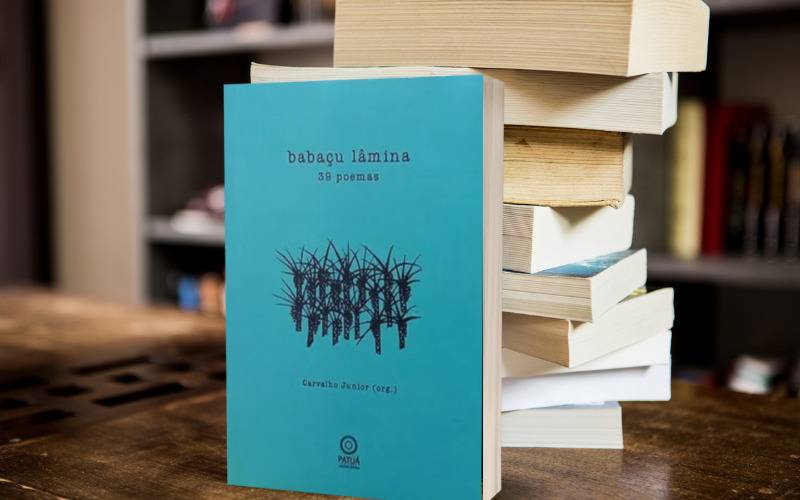 Foto do livro Babaçu Lâmina em cima de uma mesa e na frente de uma pilha de outros livros.
